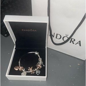 Pandora Bracelet with charms
